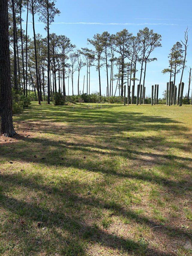 21302 Wise Point Ln Unit 1, 8, Onancock, VA 23417 - photo 55