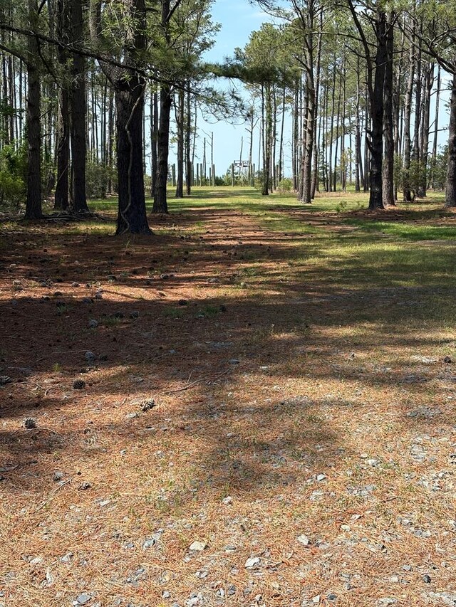 21302 Wise Point Ln Unit 1, 8, Onancock, VA 23417 - photo 13
