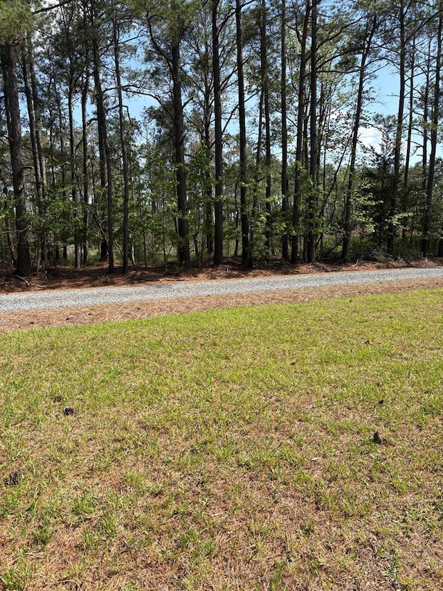 21302 Wise Point Ln Unit 1, 8, Onancock, VA 23417 - photo 24