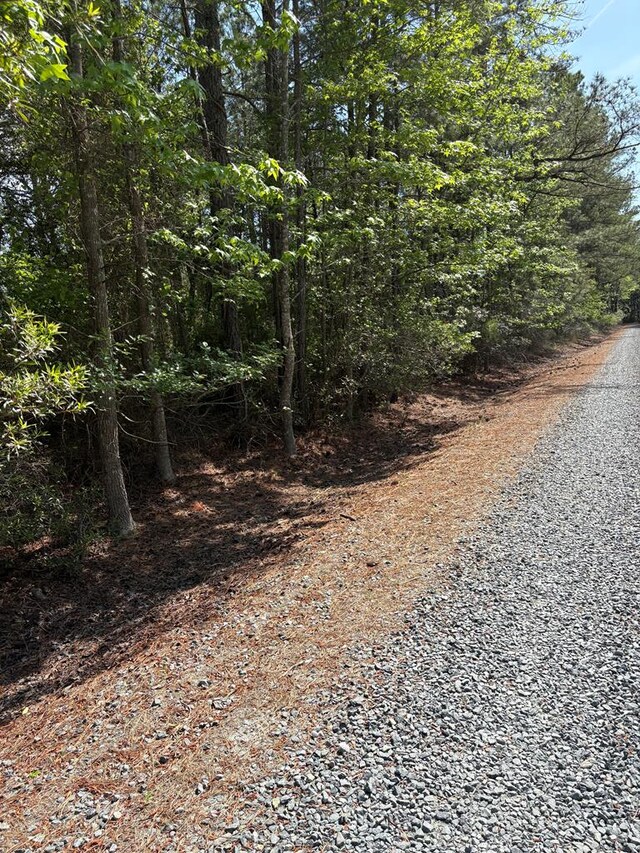 21302 Wise Point Ln Unit 1, 8, Onancock, VA 23417 - photo 19