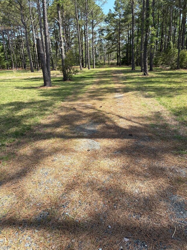 21302 Wise Point Ln Unit 1, 8, Onancock, VA 23417 - photo 63