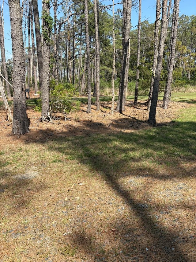 21302 Wise Point Ln Unit 1, 8, Onancock, VA 23417 - photo 61