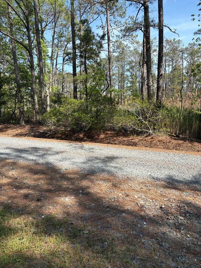 21302 Wise Point Ln Unit 1, 8, Onancock, VA 23417 - photo 25
