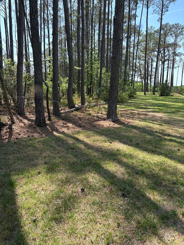 21302 Wise Point Ln Unit 1, 8, Onancock, VA 23417 - photo 54