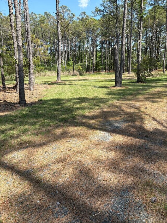 21302 Wise Point Ln Unit 1, 8, Onancock, VA 23417 - photo 62