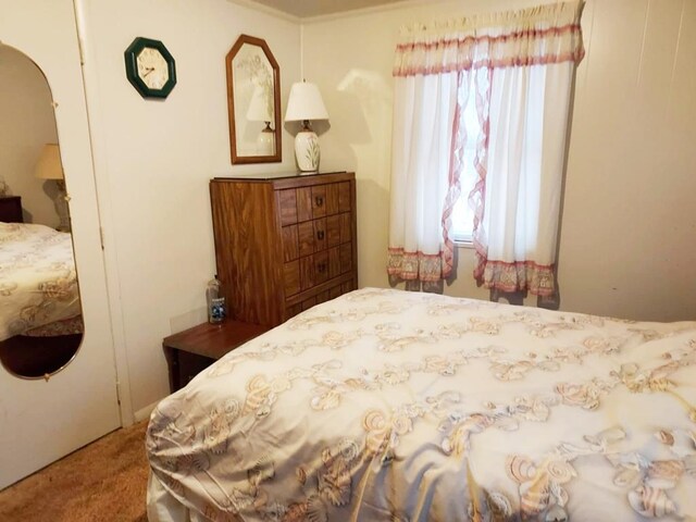 carpeted bedroom featuring multiple windows