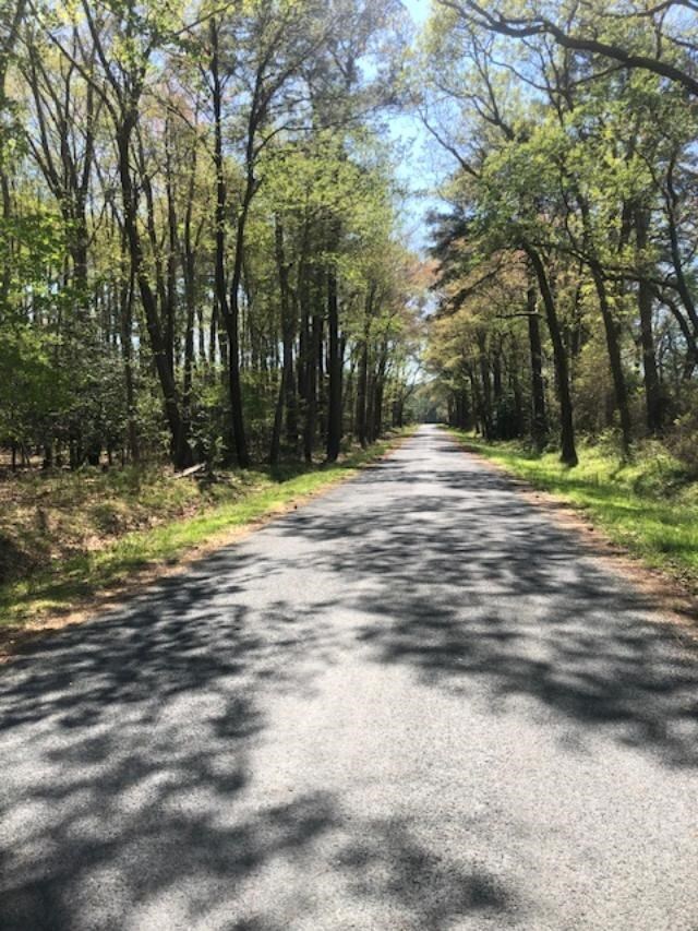 0 Alicato Rd Unit 7, Parksley, VA 23421 - photo 2