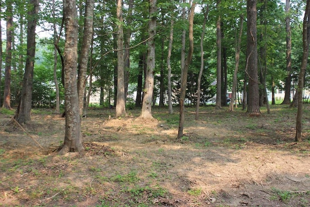 1991 Mayflower Dr Unit 1991, Greenbackville, VA 23356 - photo 1