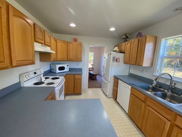 kitchen with white appliances, a healthy amount of sunlight, and sink