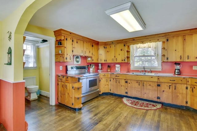 kitchen featuring double oven range, dark hardwood / wood-style flooring, sink, and plenty of natural light