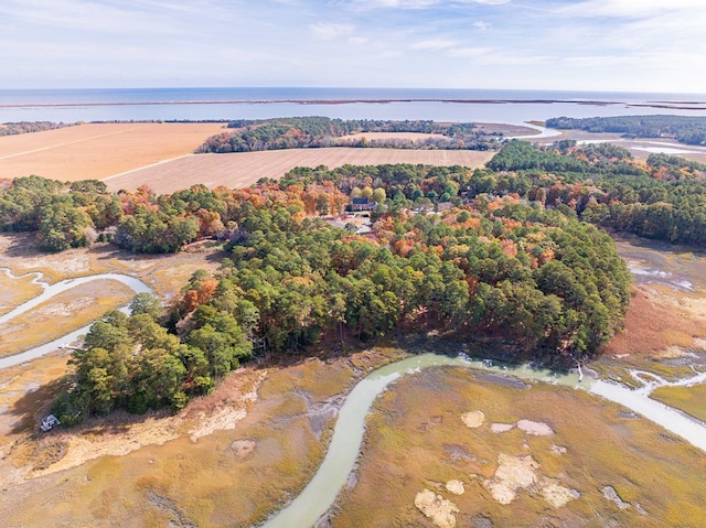 22170 Barnes Cir, Parksley, VA 23421 - drone / aerial view of a large body of water
