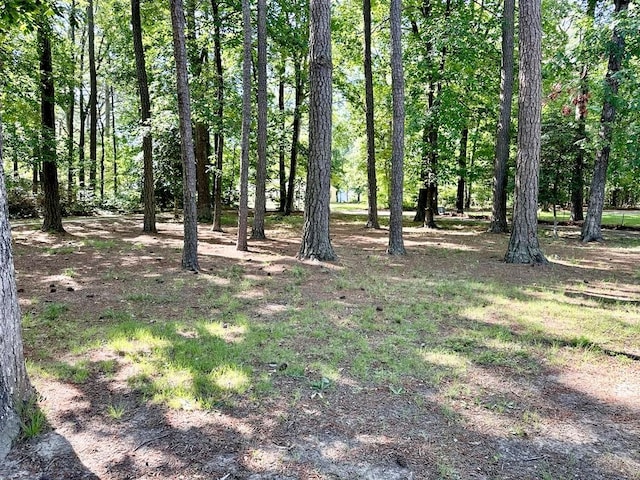 22170 Barnes Cir, Parksley, VA 23421 - view of yard