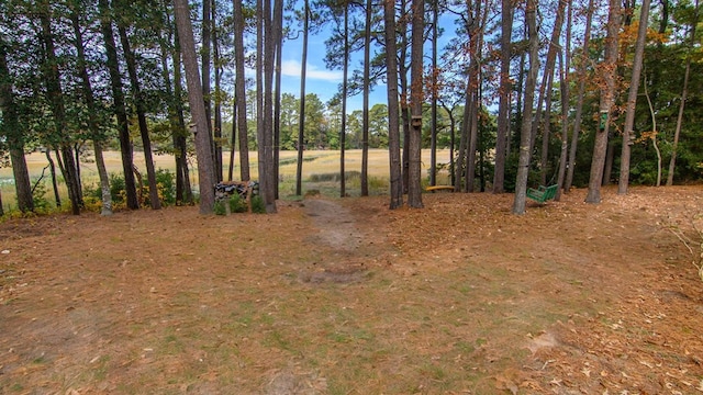 22170 Barnes Cir, Parksley, VA 23421 - view of yard