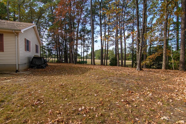 22170 Barnes Cir, Parksley, VA 23421 - view of yard