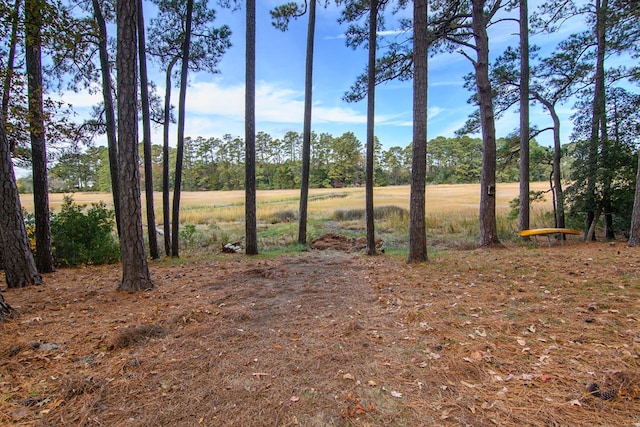 22170 Barnes Cir, Parksley, VA 23421 - view of local wilderness