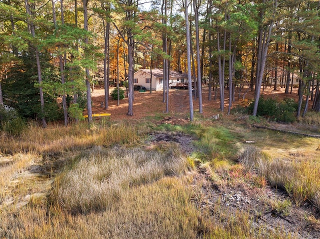 22170 Barnes Cir, Parksley, VA 23421 - view of yard