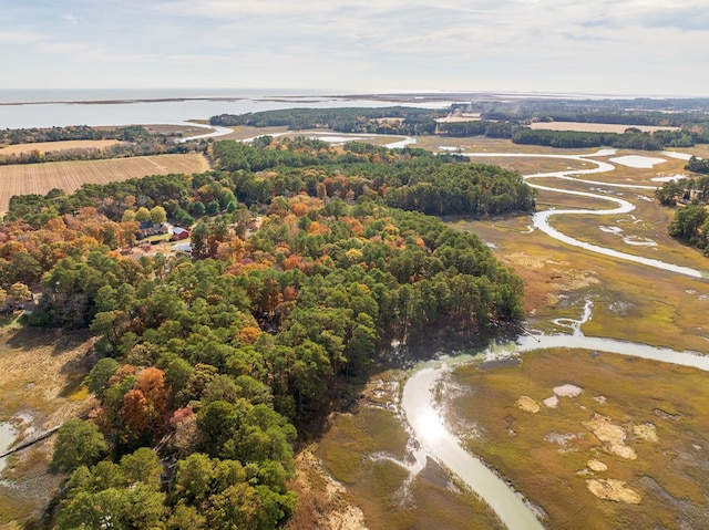 22170 Barnes Cir, Parksley, VA 23421 - drone / aerial view of a nearby body of water