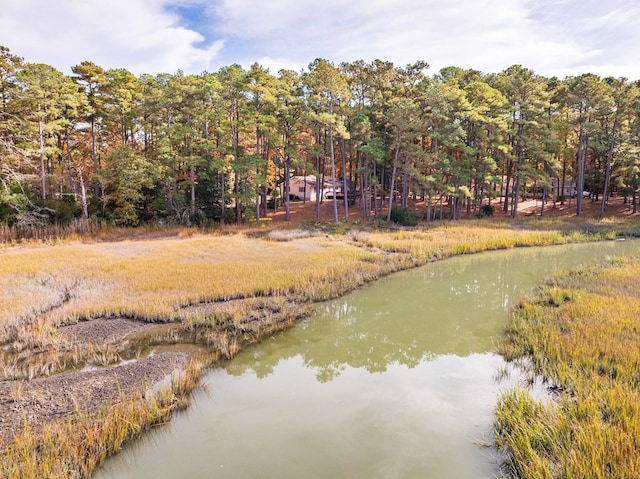 22170 Barnes Cir, Parksley, VA 23421 - water view