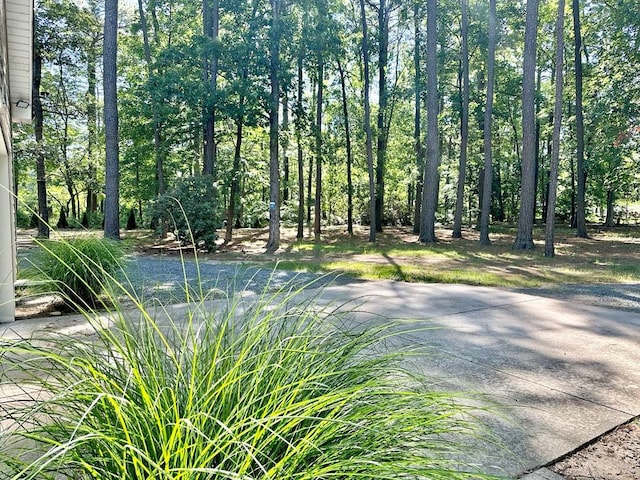 22170 Barnes Cir, Parksley, VA 23421 - view of property's community