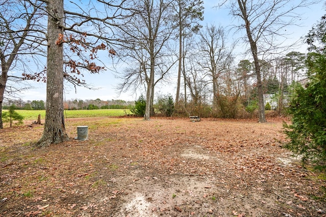 view of yard featuring a rural view