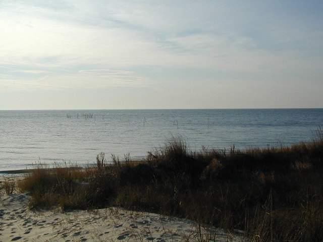 00 Nottingham Ridge Ln Unit 3B, Cape Charles, VA 23310 - photo 5