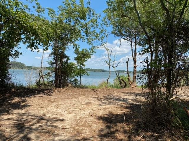 LOT14 Pond View Ct Unit 14, Painter, VA 23420 - photo 7