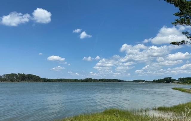 LOT14 Pond View Ct Unit 14, Painter, VA 23420 - photo 2