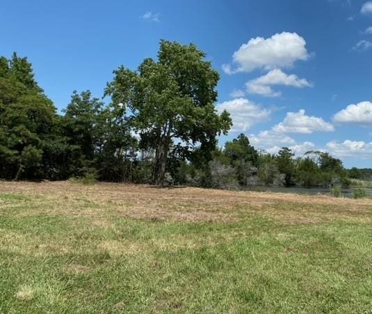 LOT14 Pond View Ct Unit 14, Painter, VA 23420 - photo 4