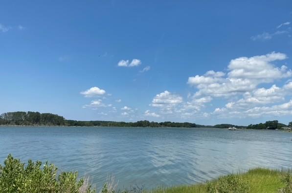 LOT14 Pond View Ct Unit 14, Painter, VA 23420 - photo 5