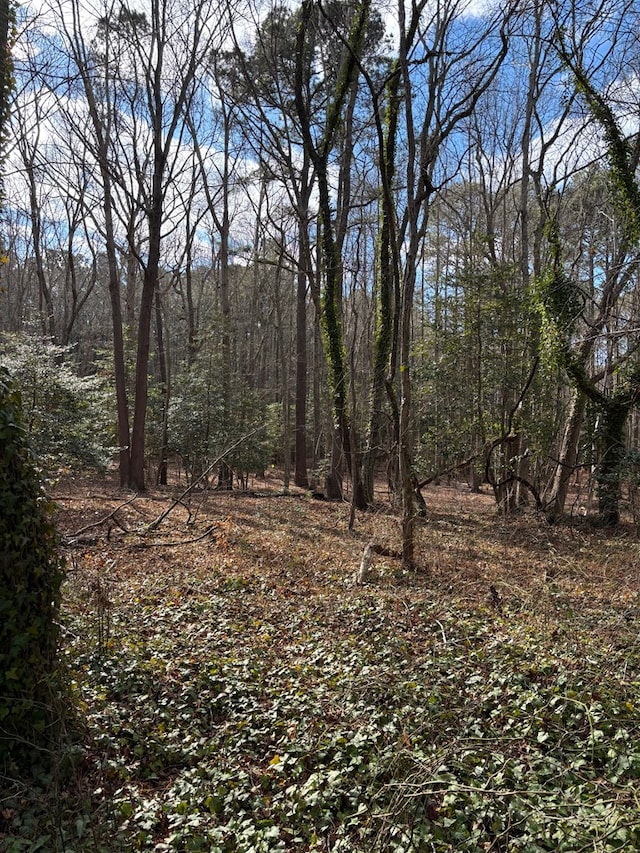 Listing photo 3 for LOT18 Saltworks Rd Unit 18, Exmore VA 23350