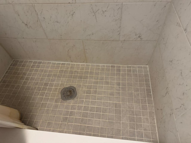 22338 Accomac Rd, Accomac, VA 23301 - bathroom view of a tile shower