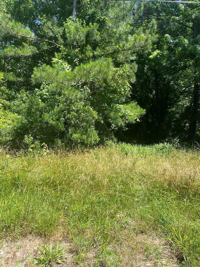 15001 Winterville Rd Unit 0, Bloxom, VA 23308 - photo 6