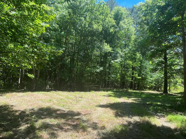 15001 Winterville Rd Unit 0, Bloxom, VA 23308 - photo 1