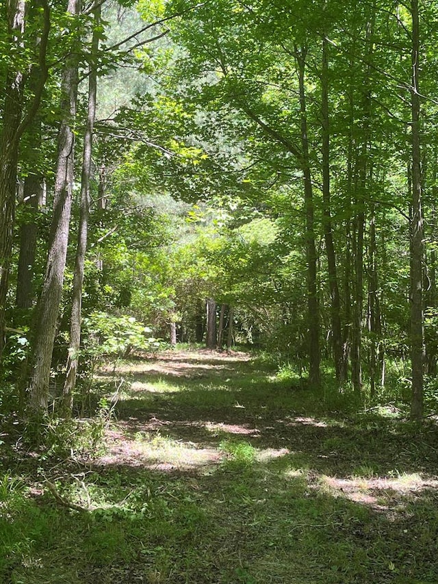 15001 Winterville Rd Unit 0, Bloxom, VA 23308 - photo 3
