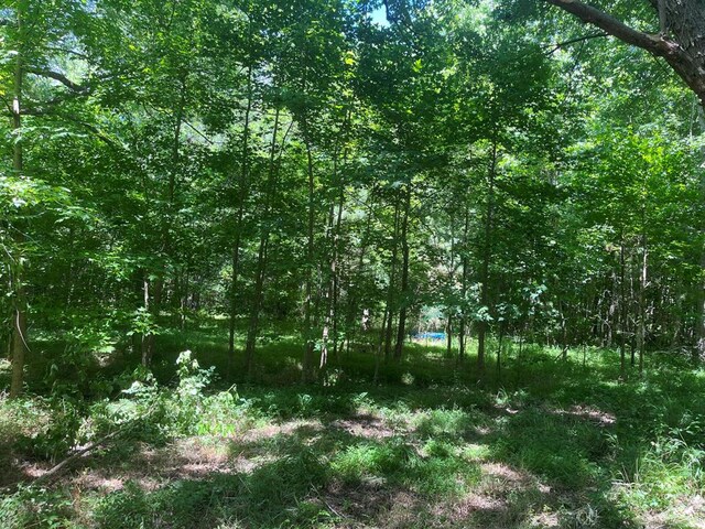 15001 Winterville Rd Unit 0, Bloxom, VA 23308 - photo 5