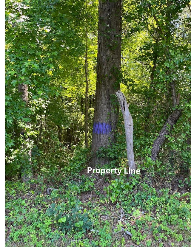 15001 Winterville Rd Unit 0, Bloxom, VA 23308 - photo 2