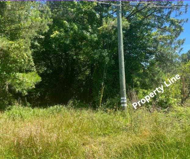 15001 Winterville Rd Unit 0, Bloxom, VA 23308 - photo 8