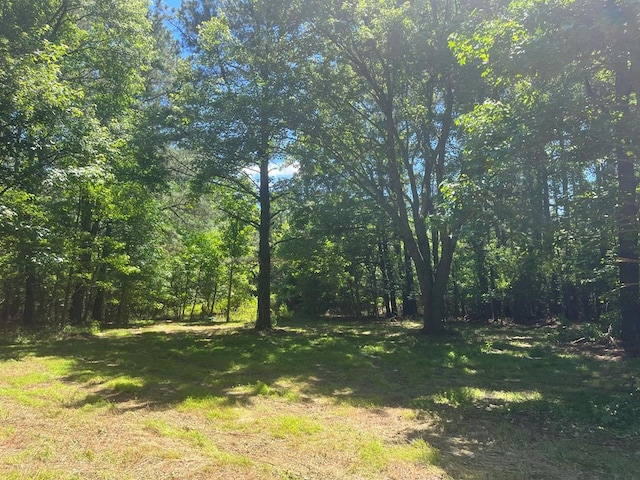 15001 Winterville Rd Unit 0, Bloxom, VA 23308 - photo 4