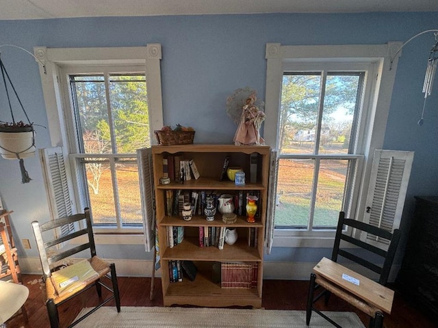 sitting room featuring a healthy amount of sunlight and wood-type flooring