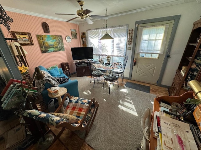 living room featuring ceiling fan and crown molding