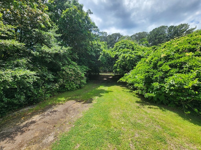 12069 Blue Teal Ln, Machipongo, VA 23405 - photo 14