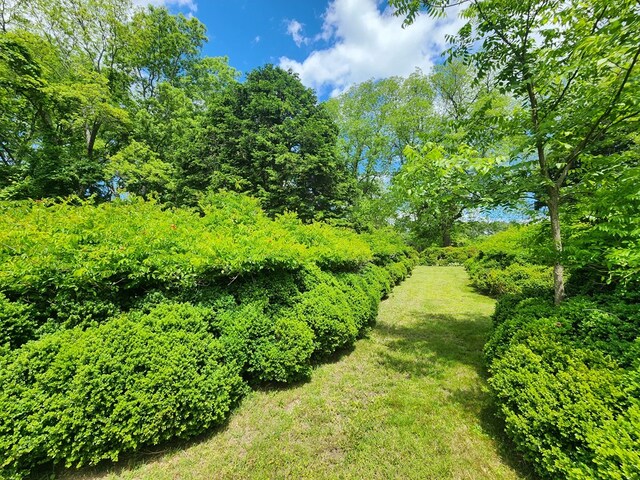 12069 Blue Teal Ln, Machipongo, VA 23405 - photo 10