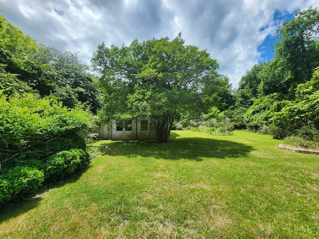 12069 Blue Teal Ln, Machipongo, VA 23405 - photo 9