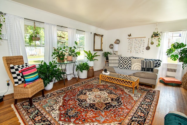 living area with hardwood / wood-style floors and radiator
