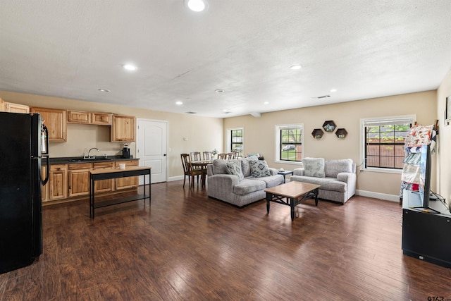 living room featuring a textured ceiling, dark hardwood / wood-style flooring, and sink