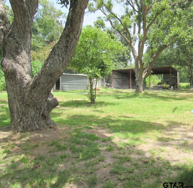 view of yard featuring a carport