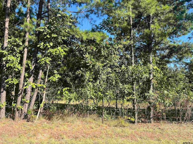 Fm 838, Overton TX, 75684 land for sale