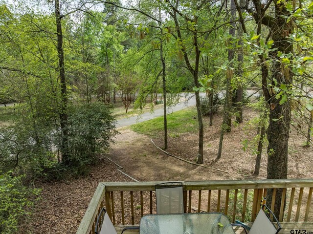 203 Lakewood Cir, Holly Lake Ranch, TX 75765 - photo 30