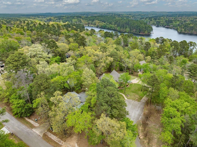 203 Lakewood Cir, Holly Lake Ranch, TX 75765 - photo 1