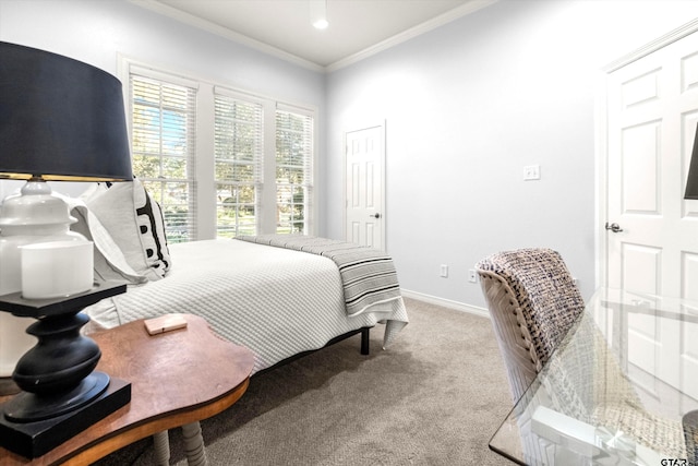 carpeted bedroom featuring ornamental molding and a closet